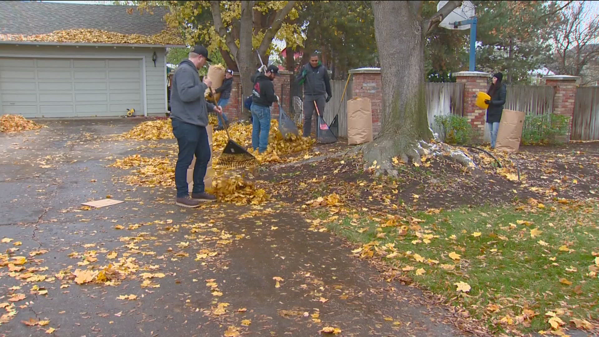 Get rid of leaves for free on regular pick up day.