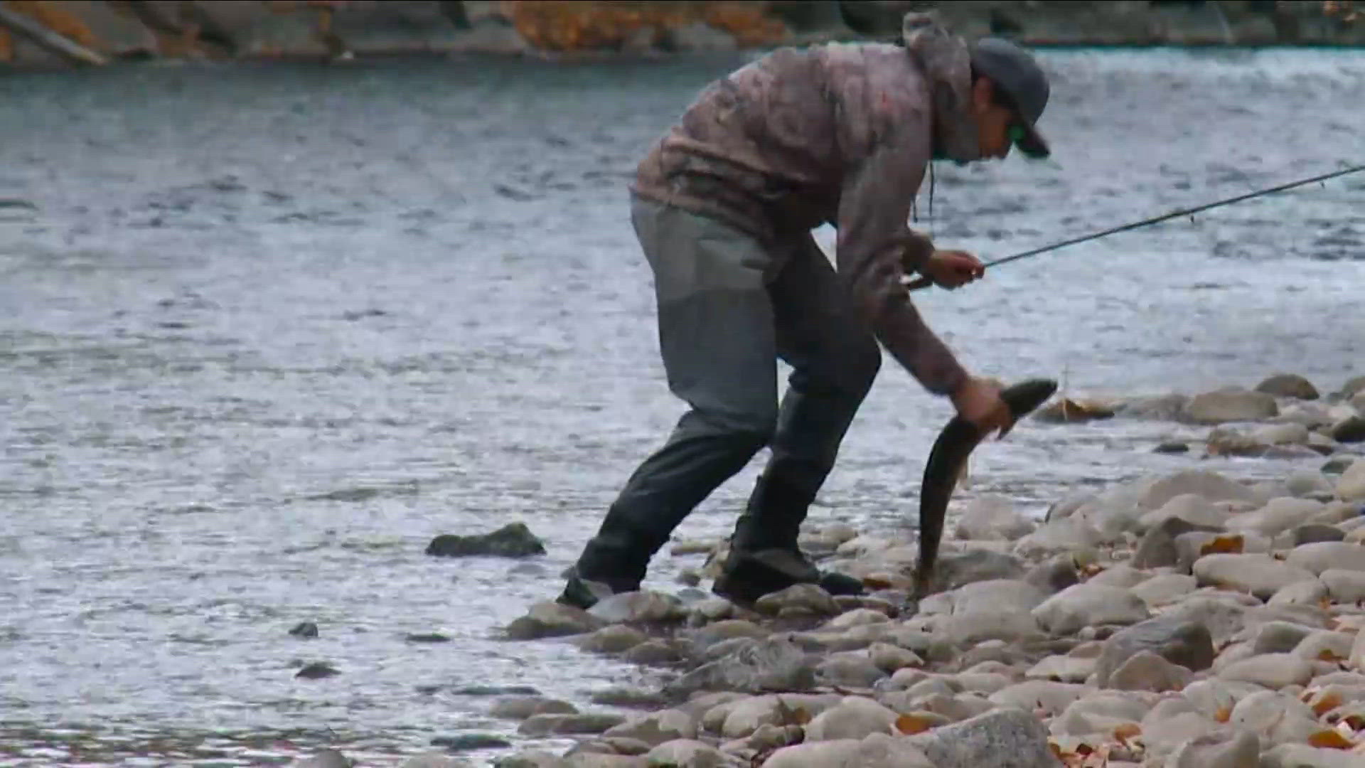 'Lowest returns on record': Idaho Fish and Game shares poor outlook for ...