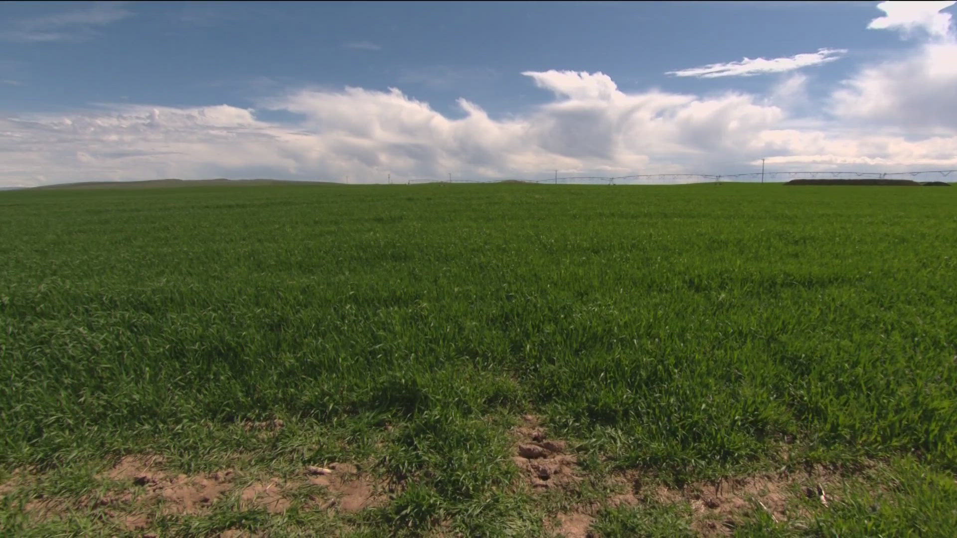The project would cover nearly 2,400 acres just north of Melba.