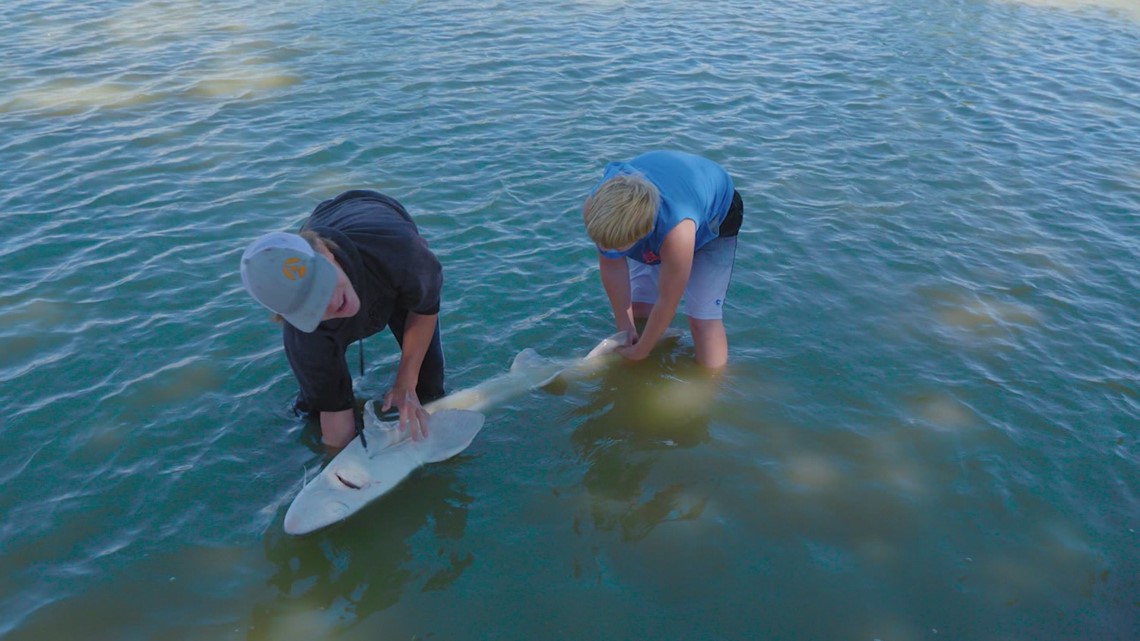 Idaho Life Parma's sturgeon pond is home to thousands of big fish