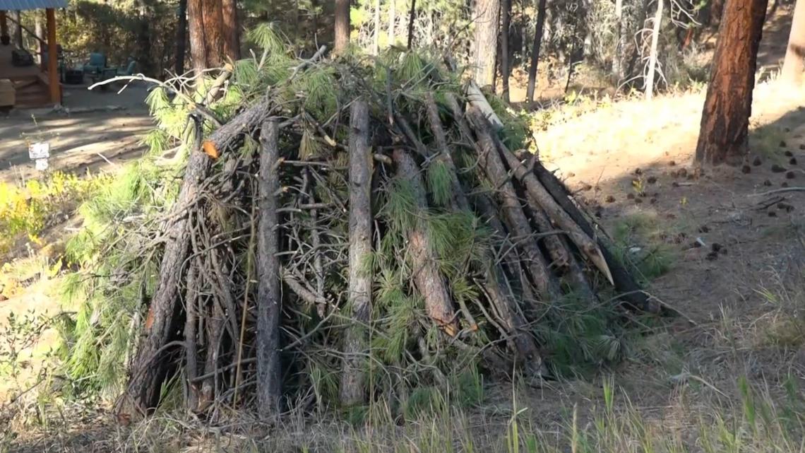 Forest thinning in southwest Idaho aims to reduce wildfire risk | ktvb.com