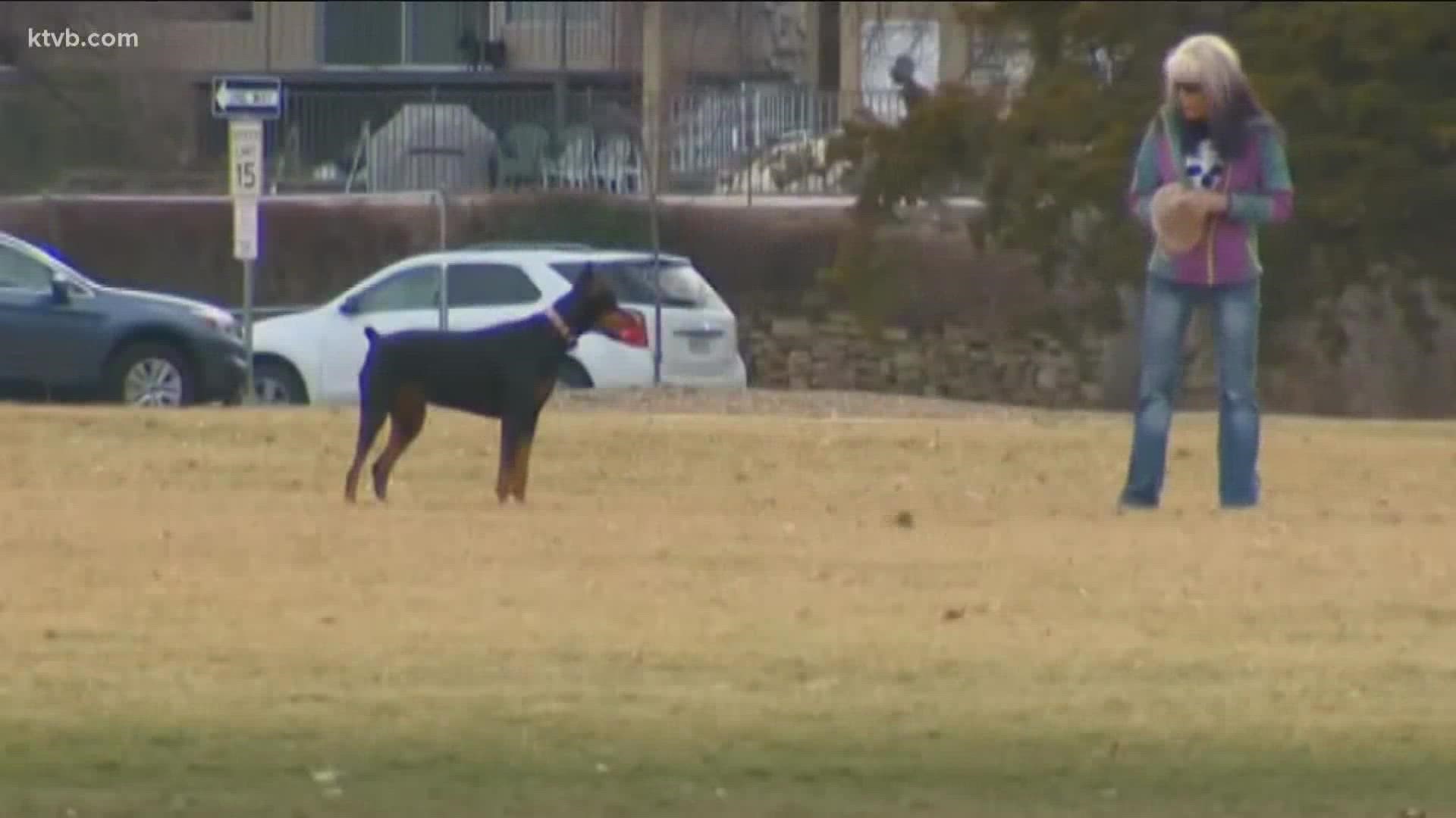 Beginning March 1, Boise residents are asked to leash their dogs at Ann Morrison Park and the Optimist Youth Sports Complex.