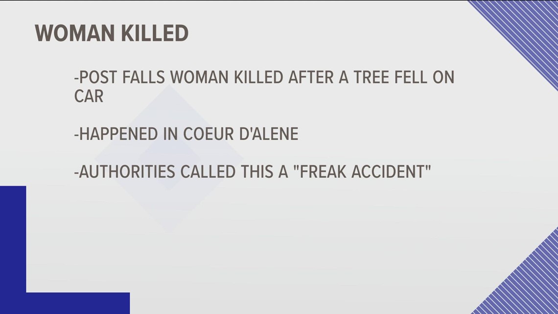 Woman Found Dead After Tree Falls On Car In Coeur D'Alene | Ktvb.com