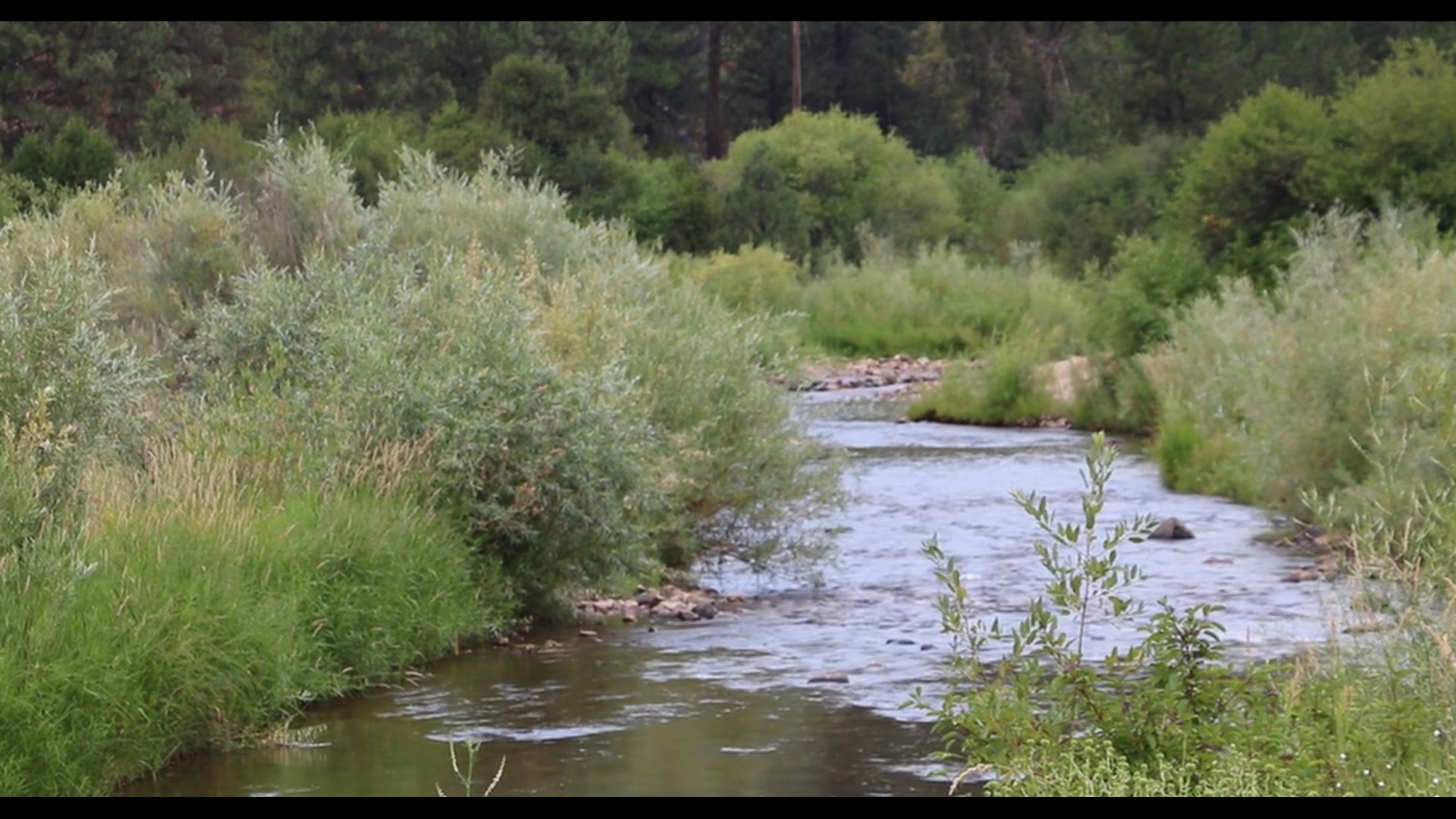 Heavy use of Grimes Creek creating concerns about sanitation