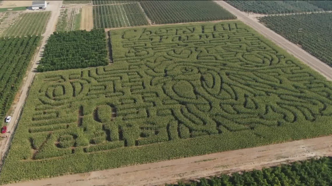 Treasure Valley's newest corn maze offers fun for everyone