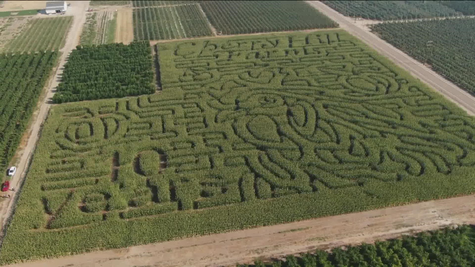 This fall, Cherry Hill Farms in Caldwell will be a destination for something entirely different — a 7-acre corn maze in the middle of the orchards.