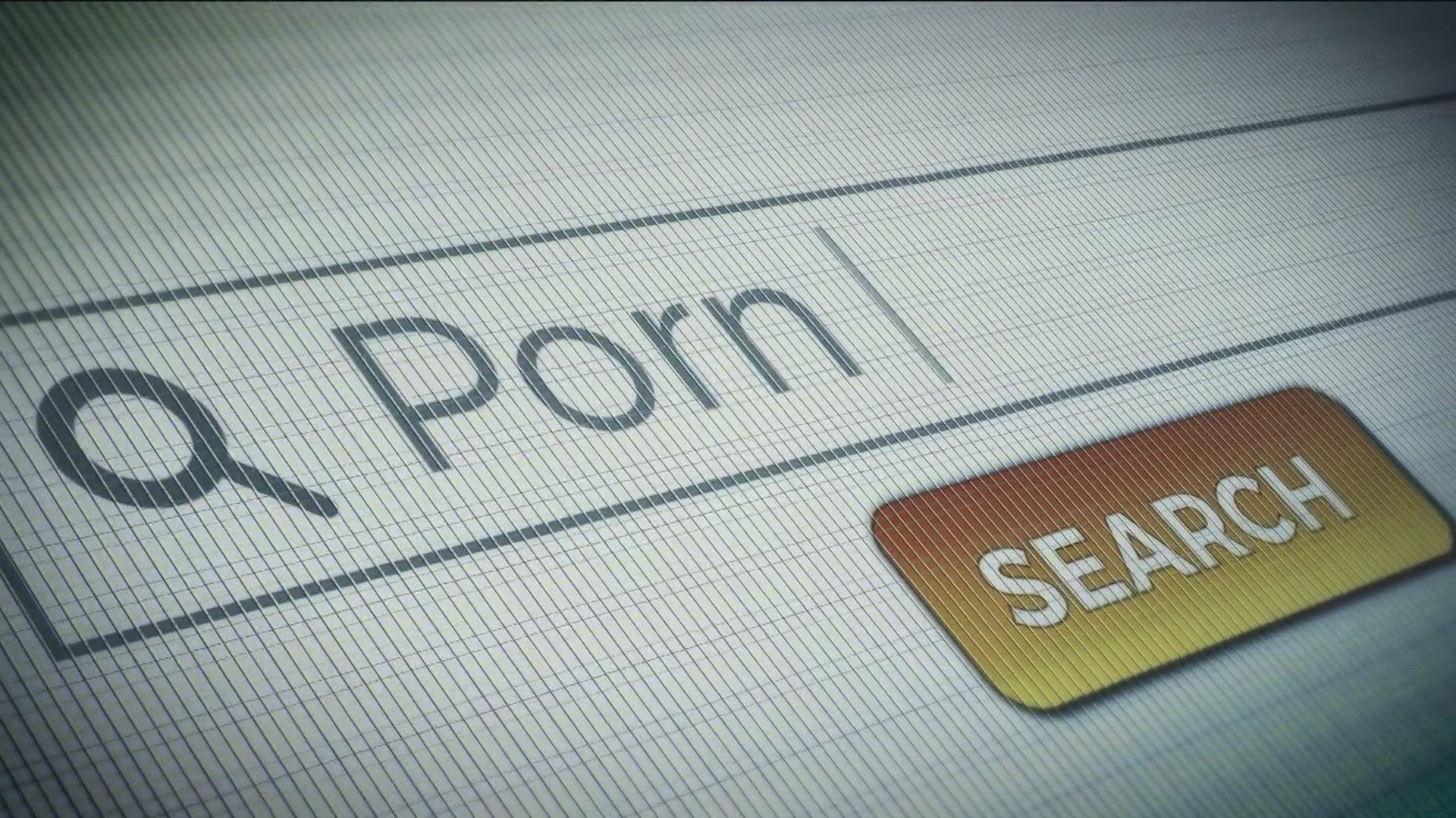 After Idaho passed a law during the 2024 legislative session, certain porn sites will require ID checks to enter.