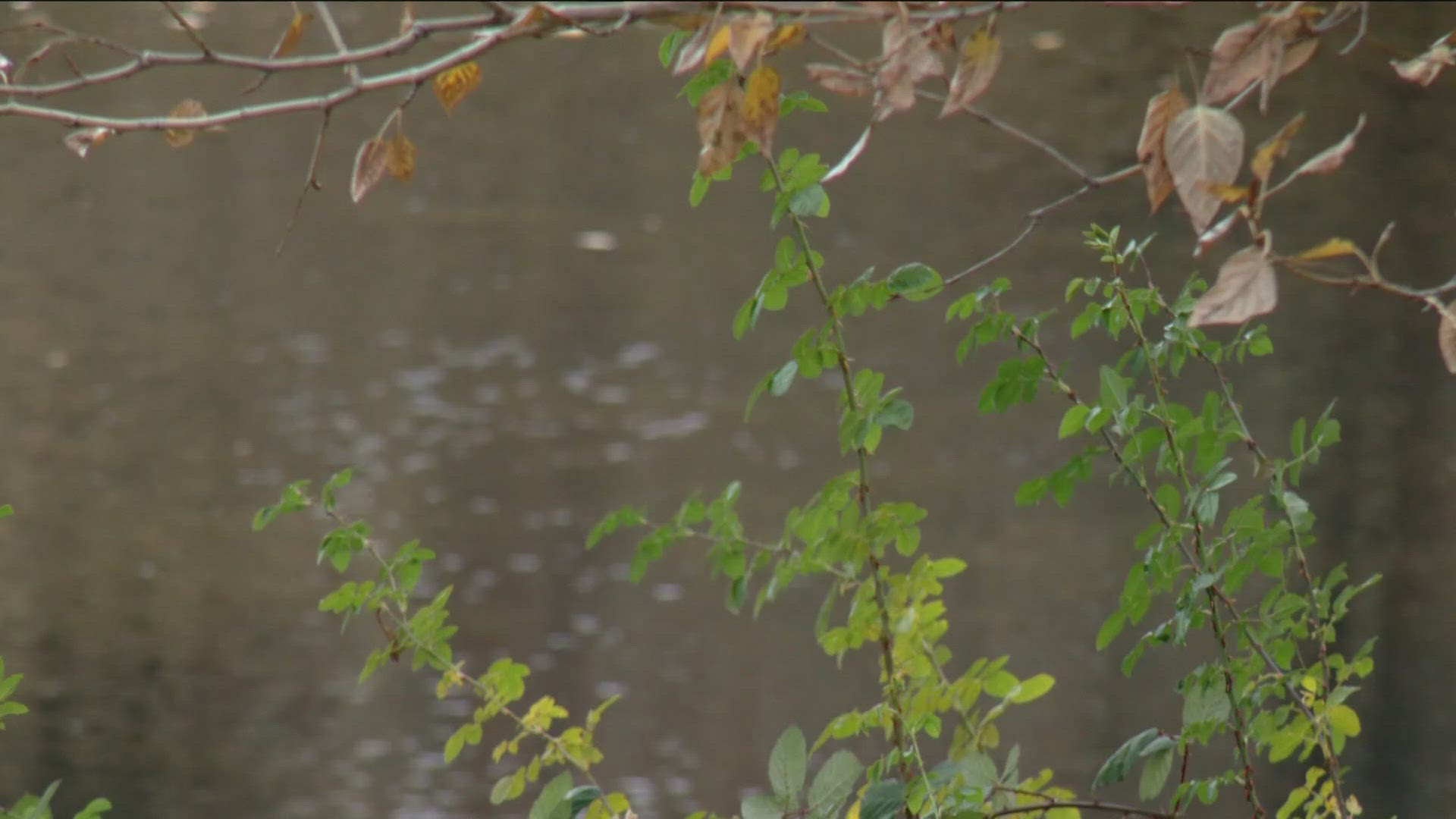 The project aims to improve 700 acres of the river's ecosystem while restoring fish and wildlife habitats in the Barber Pool Conservation Area.