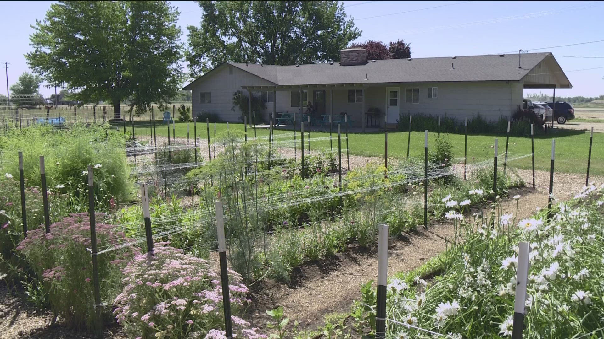 Canyon Springs Garden Outreach has produced an estimated 10 tons of fresh produce in just the last two years.