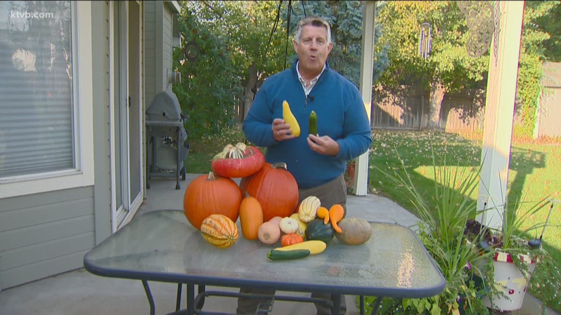 Jim Duthie says there are many varieties of squash you might want to try in your garden next year.