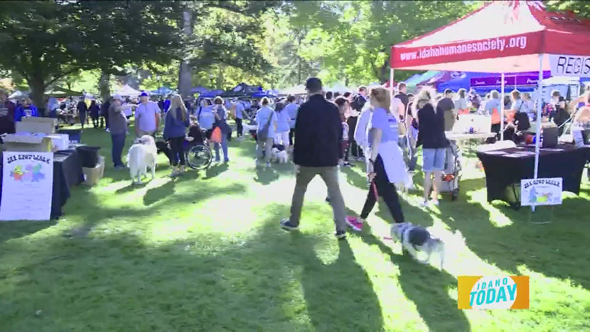 Register for "See Spot Walk," Idaho Humane Society's biggest fundraiser
