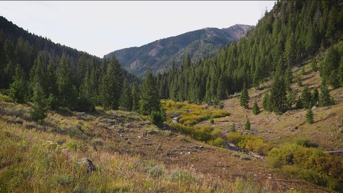 Celebrating a decade of protected wilderness in Central Idaho