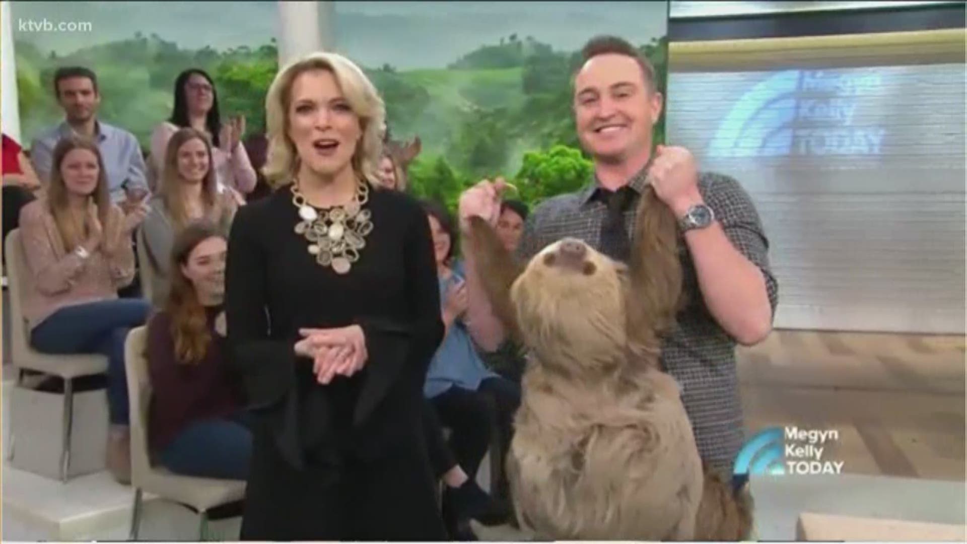 Watch as Corbin introduces Megyn to several exotic animals.