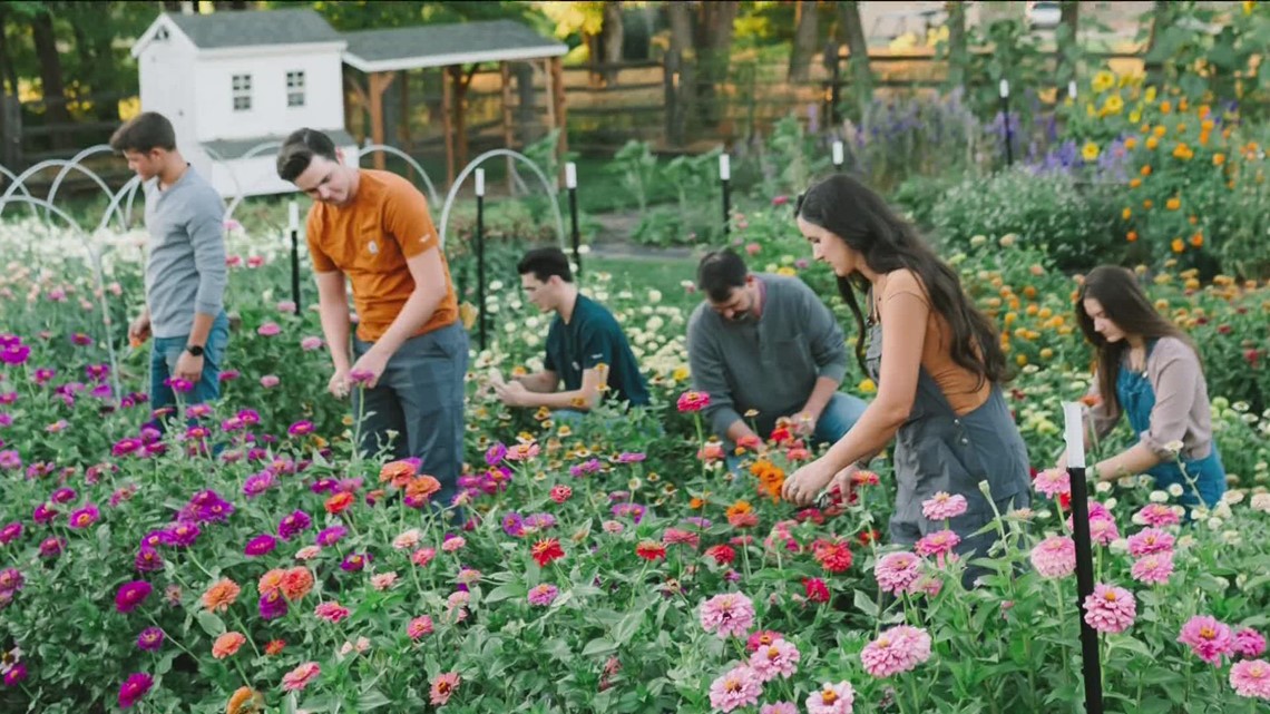 Meridian family turns home flowers into McCallister Gardens