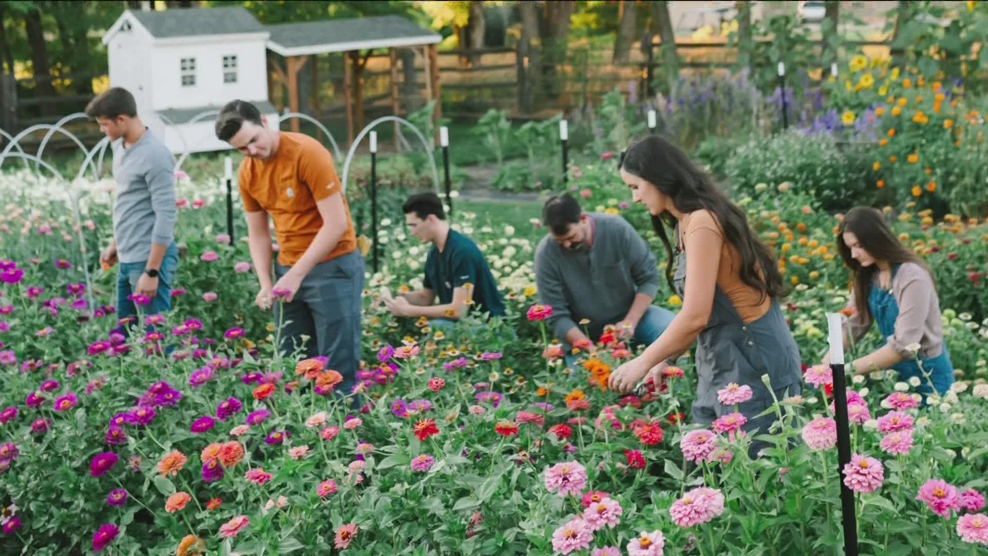 Tara McCallister developed a passion for beautifying her home landscape and with her family, turned her passion into a successful flower-growing business.