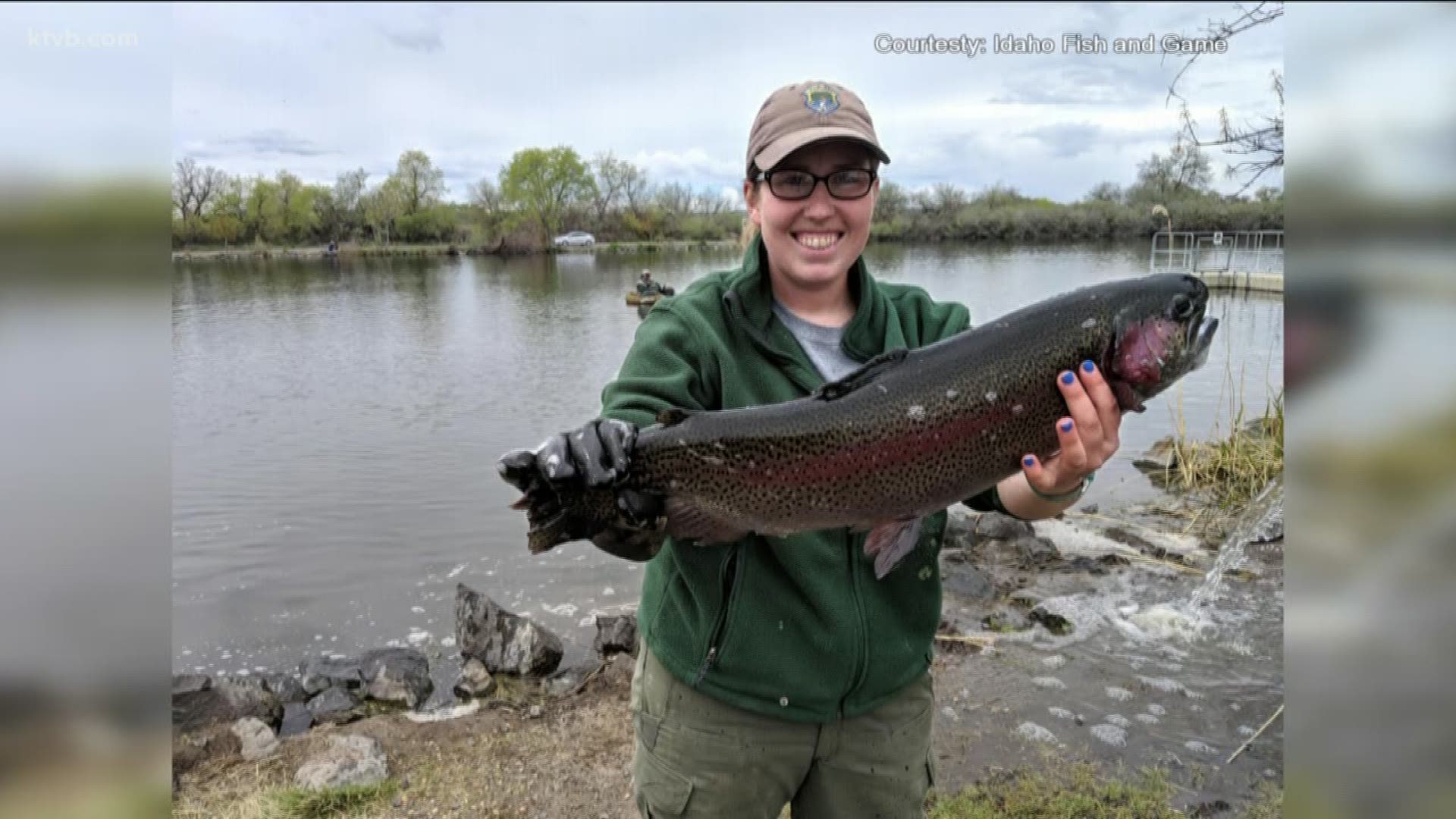 Idaho Fish and Game has been stocking local ponds with some big rainbow trout.