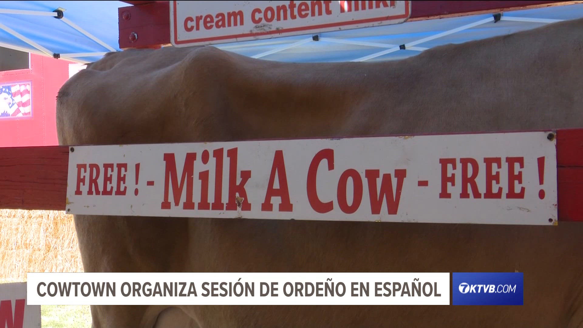 En la feria del oeste de Idaho, los organizadores del stand de Cowtown ofrecerán espectáculos bilingües sobre cómo ordeñar una vaca.