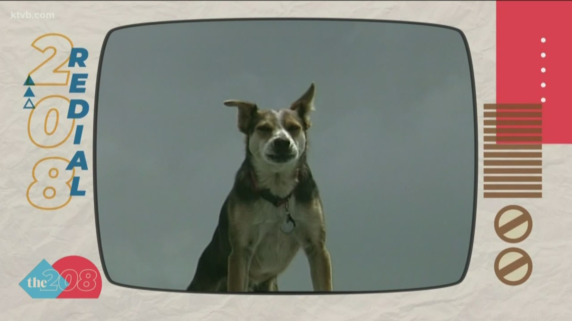 In 1999, KTVB's John Miller introduced viewers to the neighborhood dog known only as 'Roof Dog.' Can you guess why he was given that name?