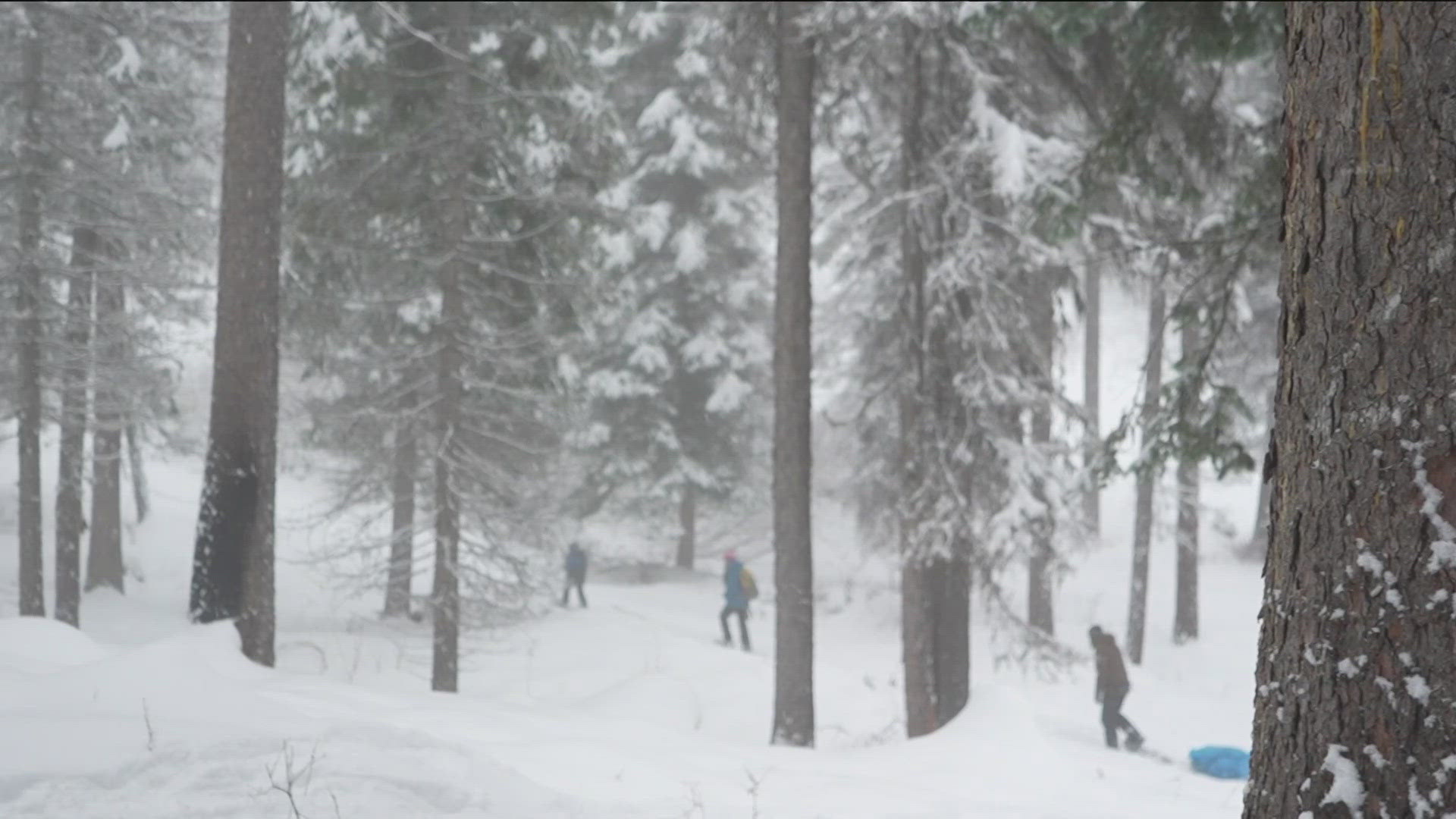 The Simpson family's annual tradition is more than just finding the perfect tree. KTVB's Abby Wilt explains.