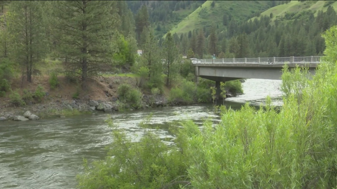 Eagle drowning victim recovered near Montour Bridge - Vimarsana News