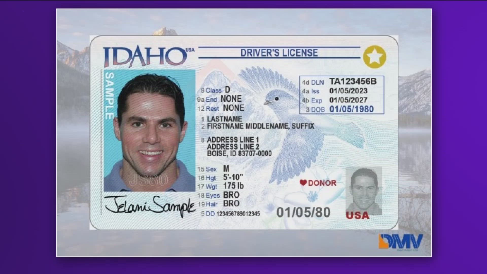 DMV changes to driver's license and identification cards