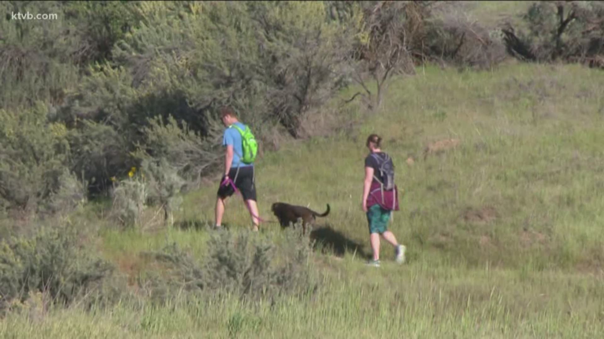 Boise Foothill hikers should be single file and always carry their dog’s leash. There’s also a plan for more bike-only trails.