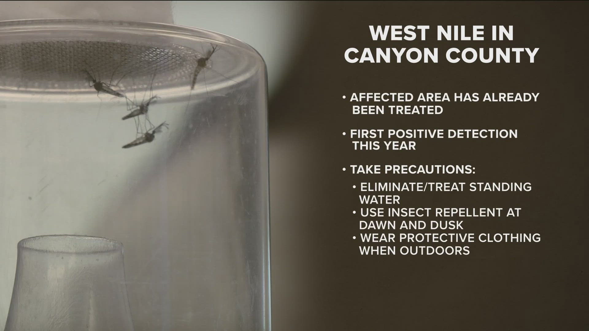 Health officials warn the public after mosquitoes east of Caldwell tested positive for West Nile virus, marking the first case of the season in the county.