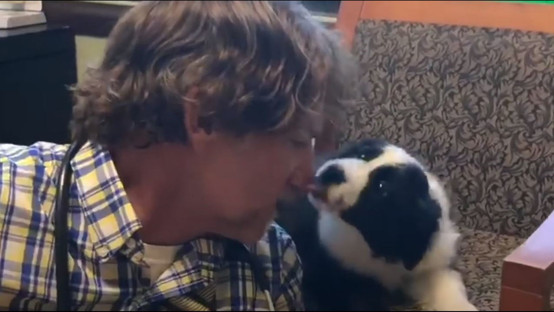 Watch Boise veterinarian sings to puppy, gets lots of kisses in return
