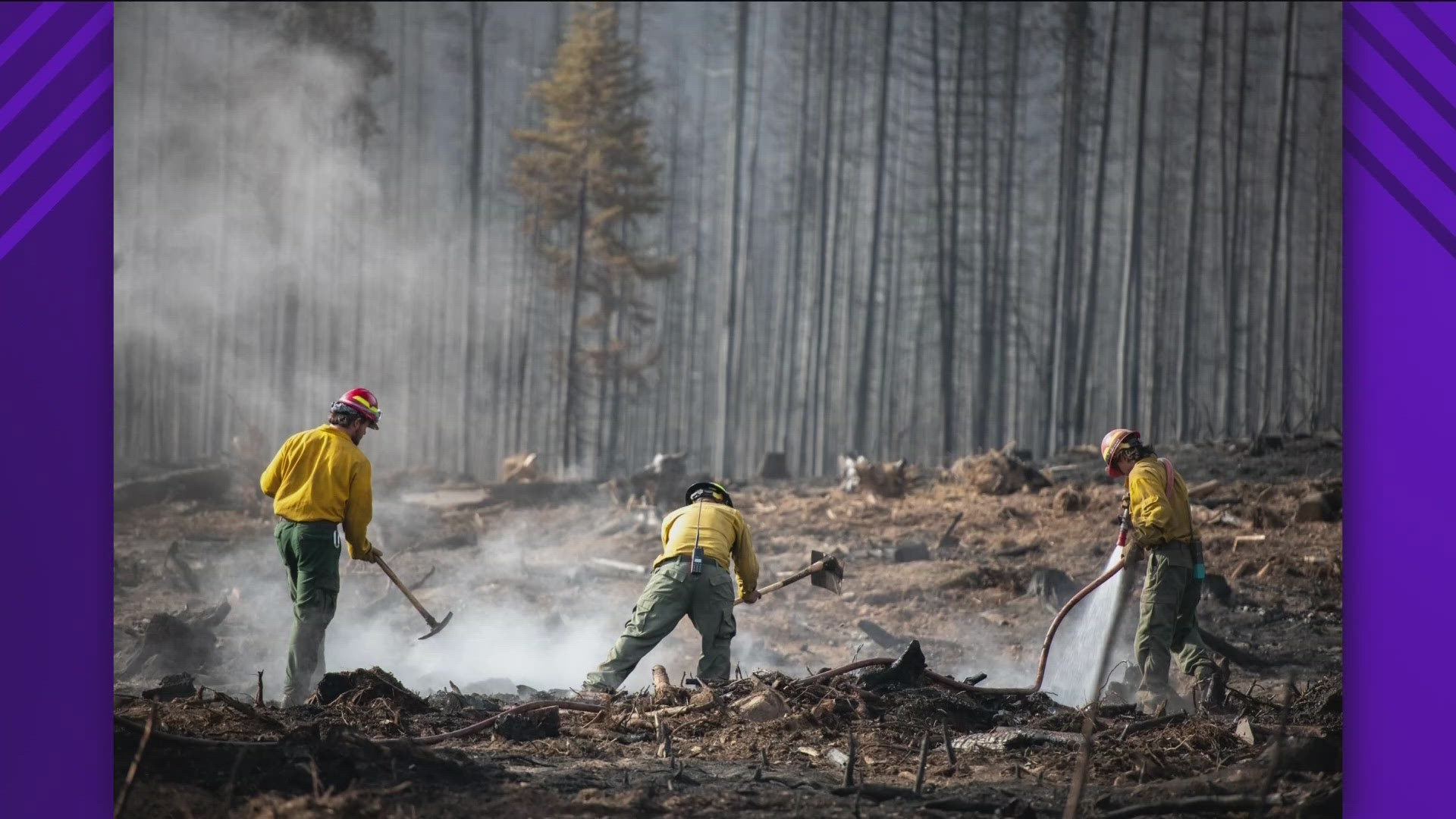 The Wapiti fire is now 71% contained after being helped by the rain which was able to suppress some fire activity