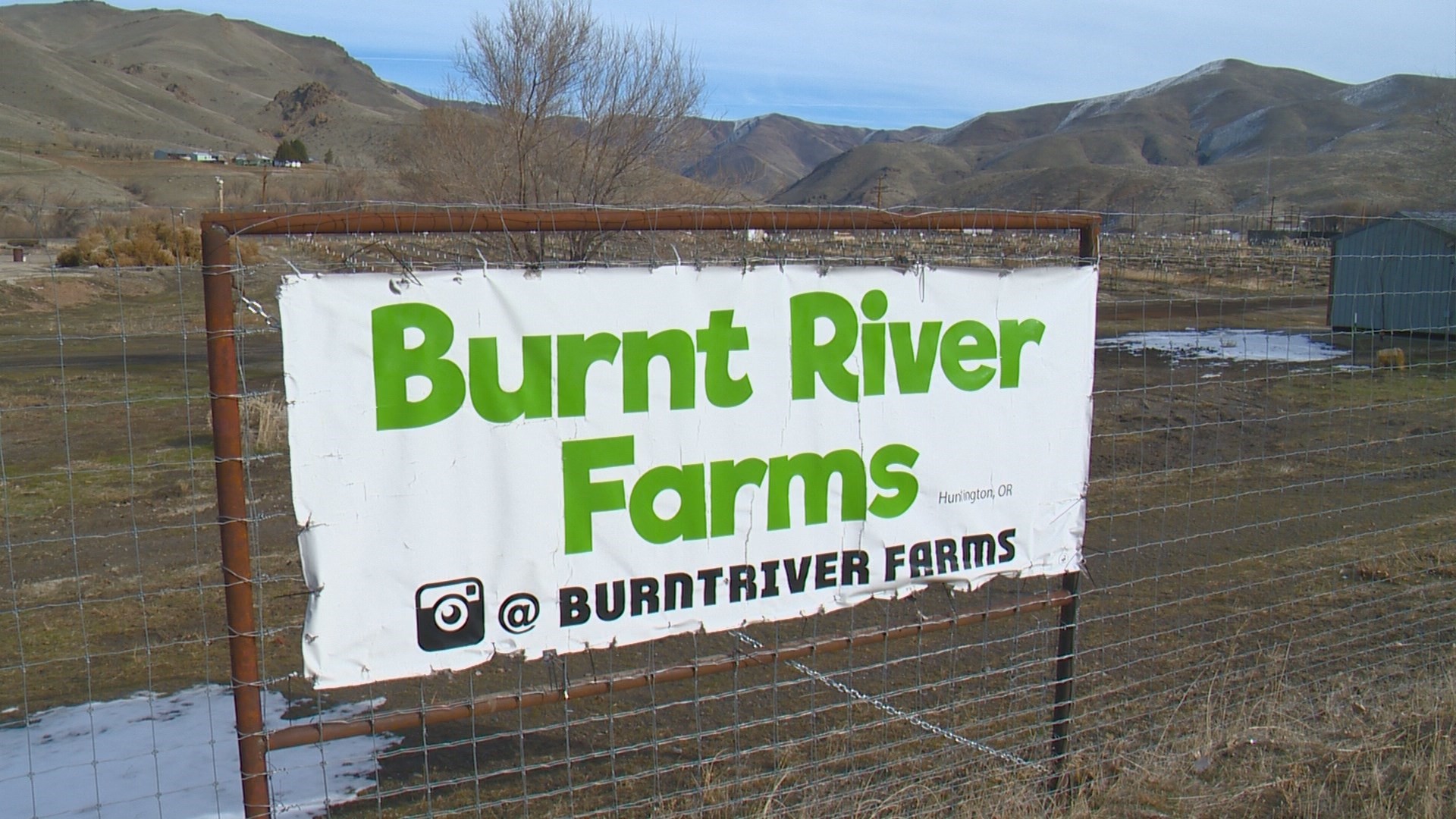 Photos Inside Burnt River Farms
