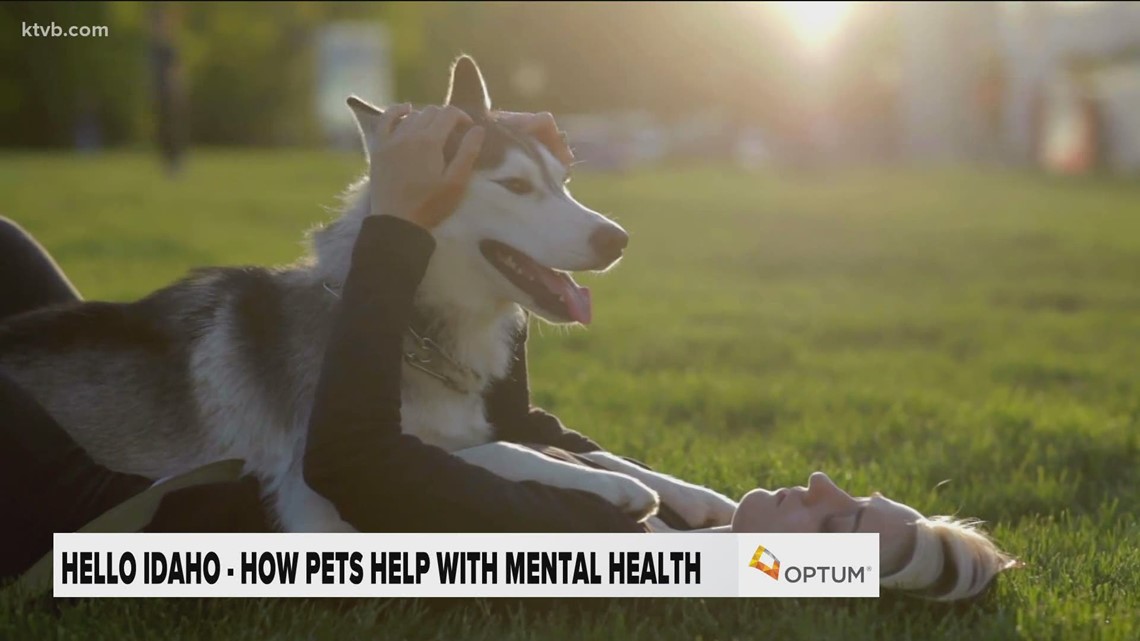 Hello Idaho: How owning a pet can benefit your mental health - Vimarsana News
