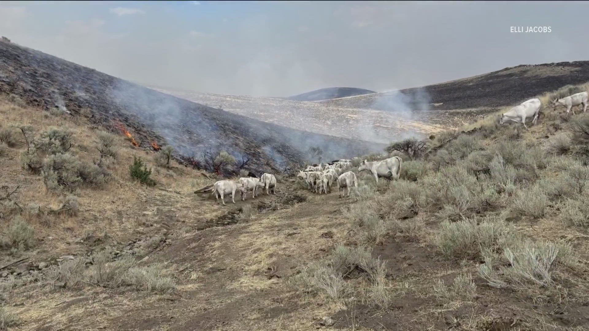 The Wildfire Relief Fund is funded through private donations. The association says the more money they have, the more they can help affected ranchers