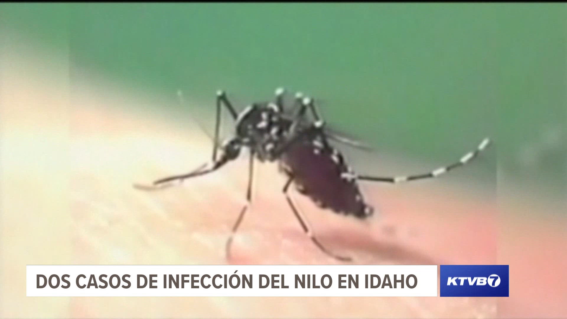 El Distrito de Salud Central y Suroeste informa que dos residentes de Idaho han sido infectados con el virus del Nilo Occidental.