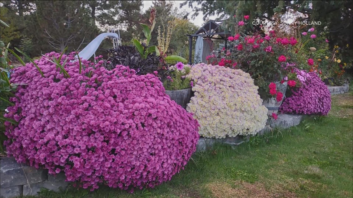 Idahoans share stunning photos to inspire future home gardens
