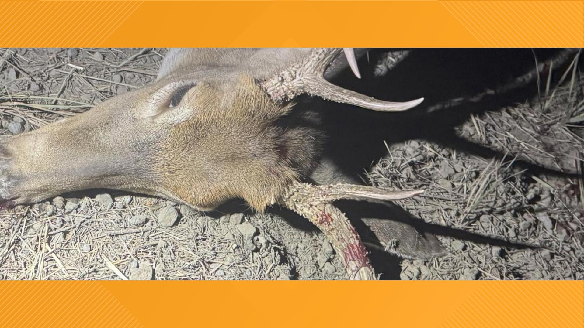 Conservation officers are seeking information about a mature white-tailed buck that was shot around Sept. 6, near Winchester Lake State Park.