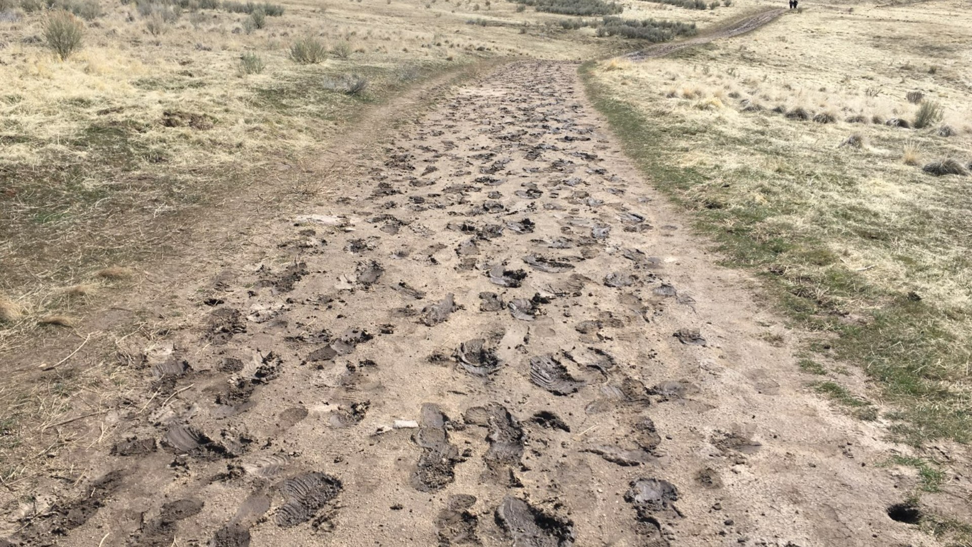 Path Conditions Hikers asked to avoid Boise Foothills amid muddy trail conditions ...