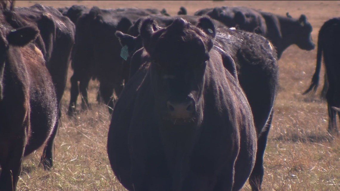 Inside Ag: New initiative seeks to overhaul wildlife and livestock laws