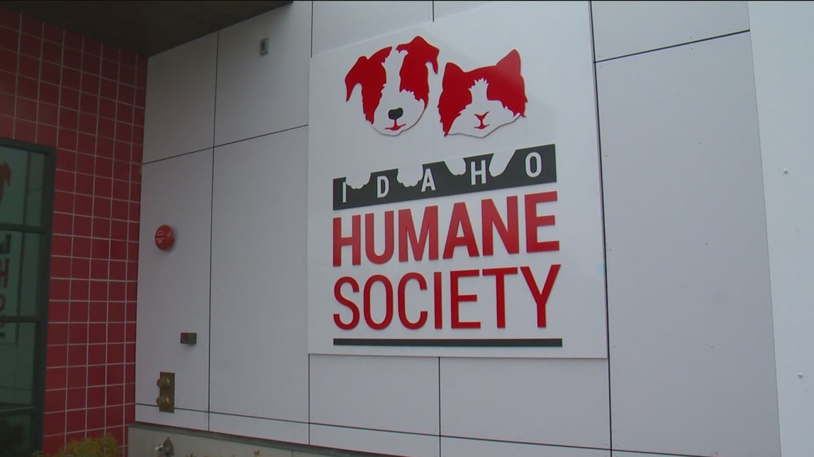 Decades-old Idaho law forces euthanasia of injured wildlife, Idaho Humane Society seeks change