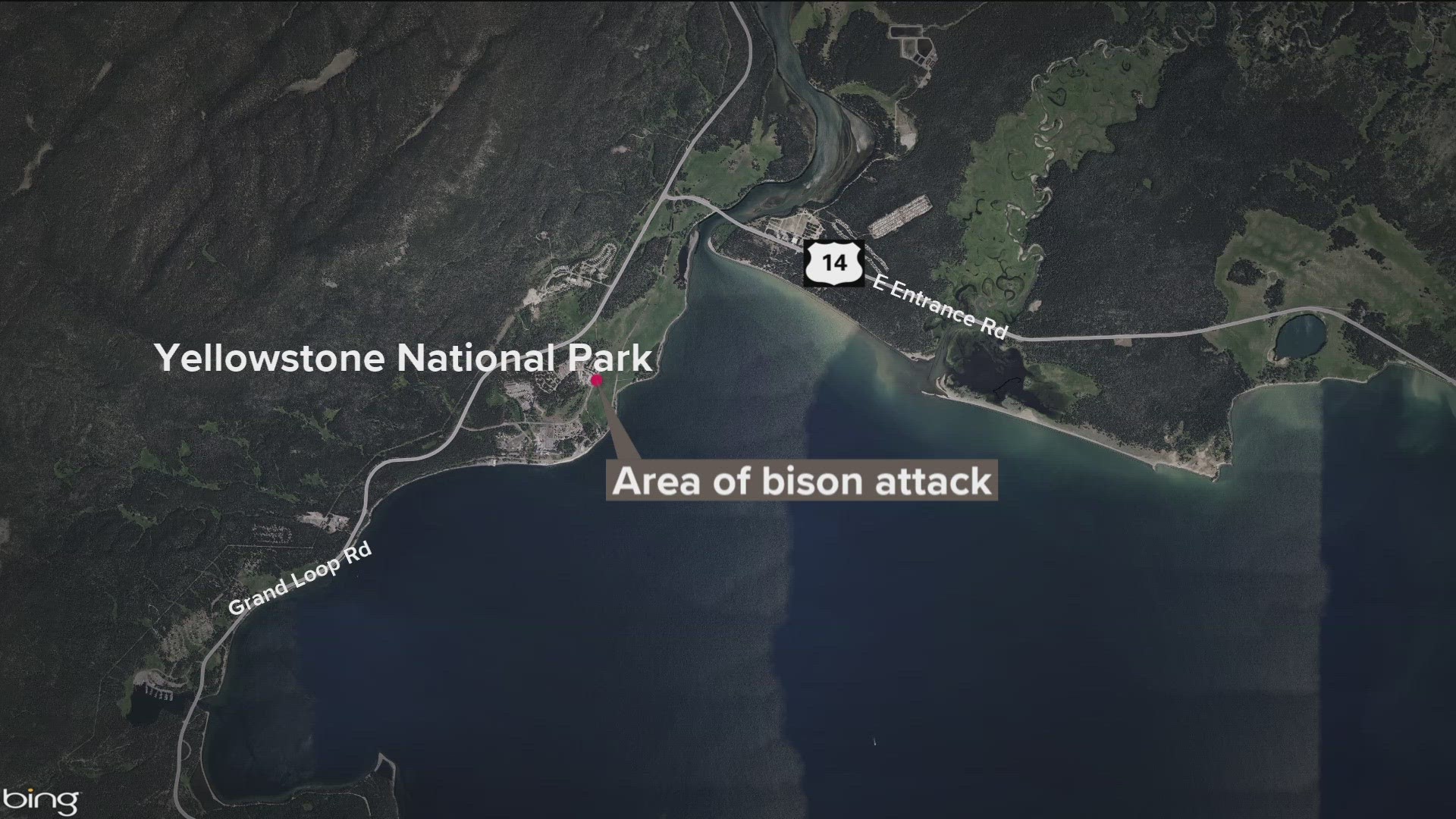 The woman had to be flown to an Idaho hospital after being impaled in the abdomen by a Yellowstone bison in a potentially unprovoked attack.