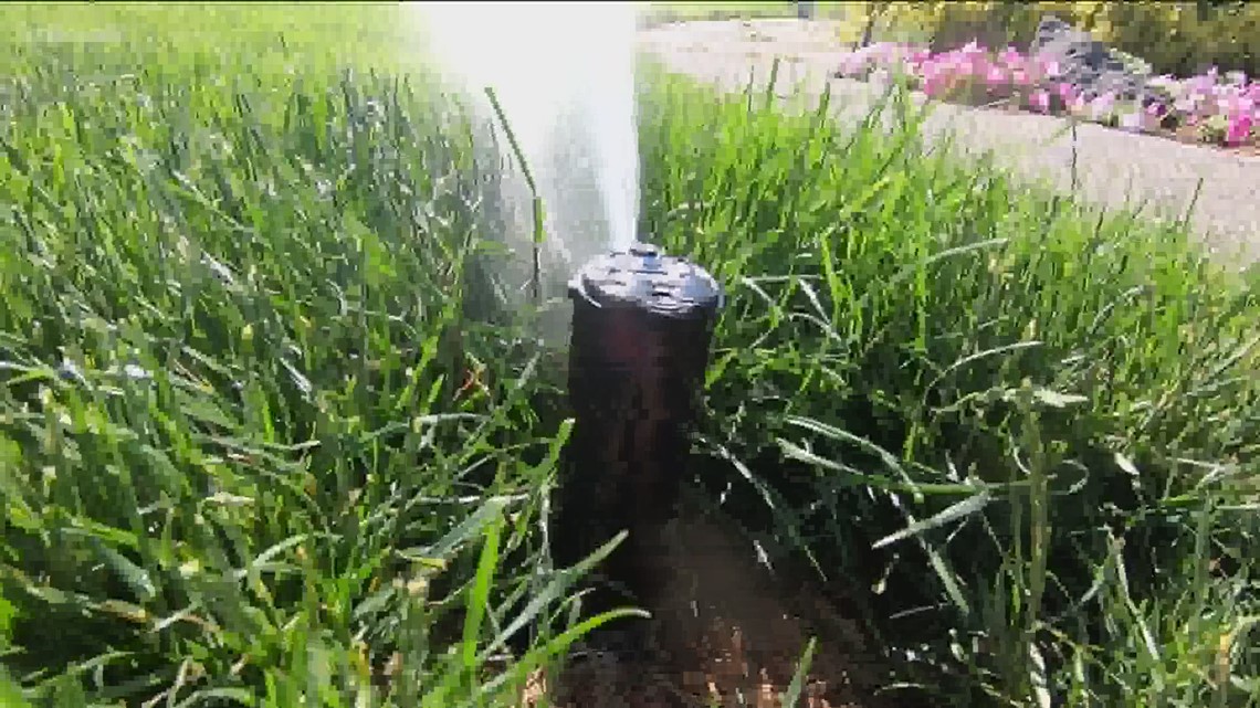 You Can Grow It: Watering your lawn wisely - KTVB.com