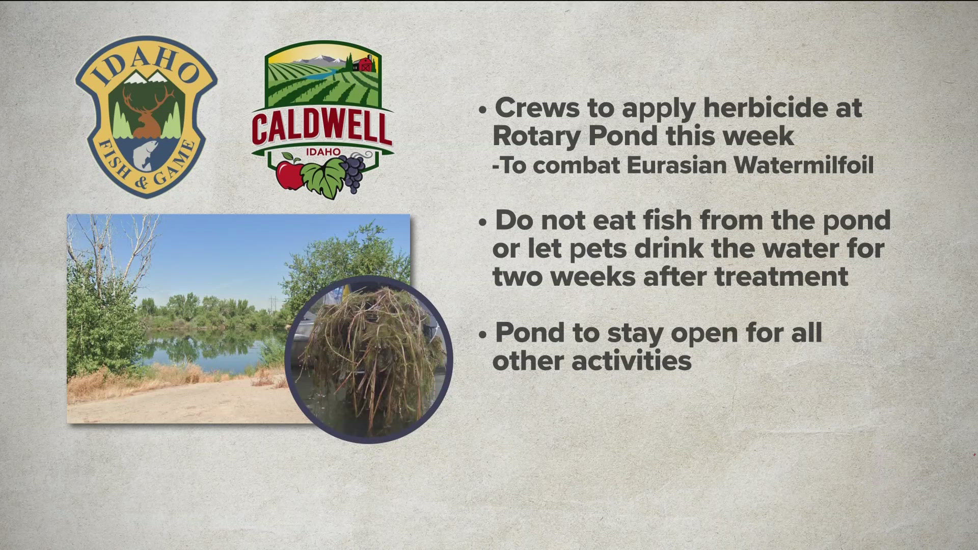 The herbicide application targeting the Eurasian watermilfoil will take place between May 4 and 10, depending on weather and pond conditions.