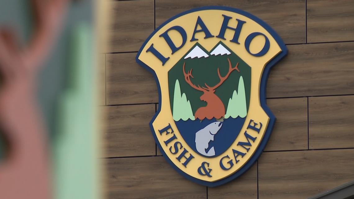Idaho Fish and Game investigating 3 cases of deer being shot, left to waste