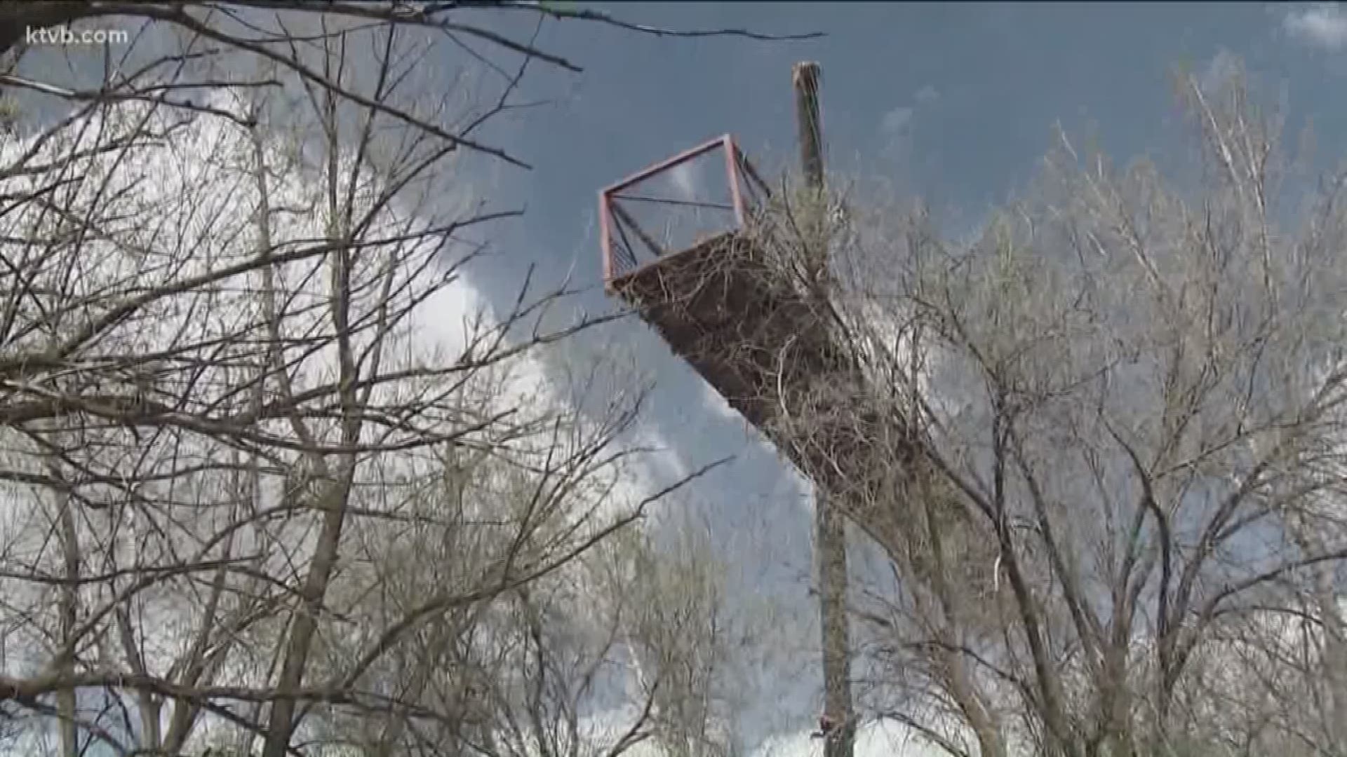 The plan is to put the original pedestrian bridge - which was removed during record-high Boise River flows last year - back in place.