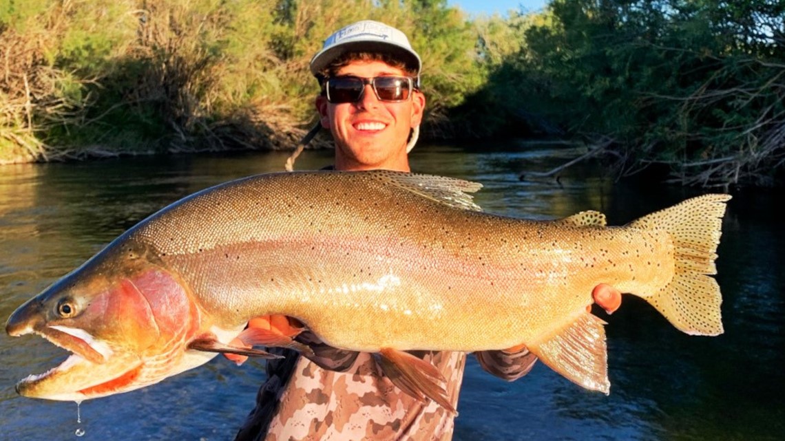 Rexburg man lands new state record Yellowstone cutthroat trout