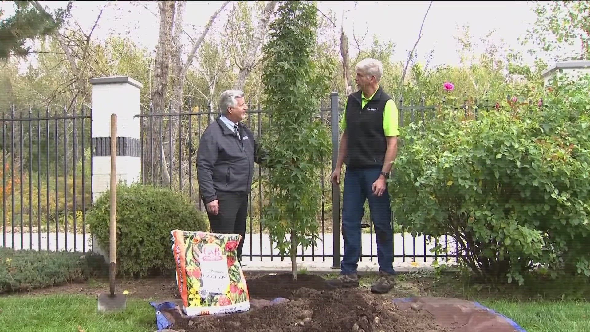 KTVB's Jim Duthie works with an expert to show how planting a tree isn't as difficult as it seems. Fall is a great time to give it a try before the ground freezes.