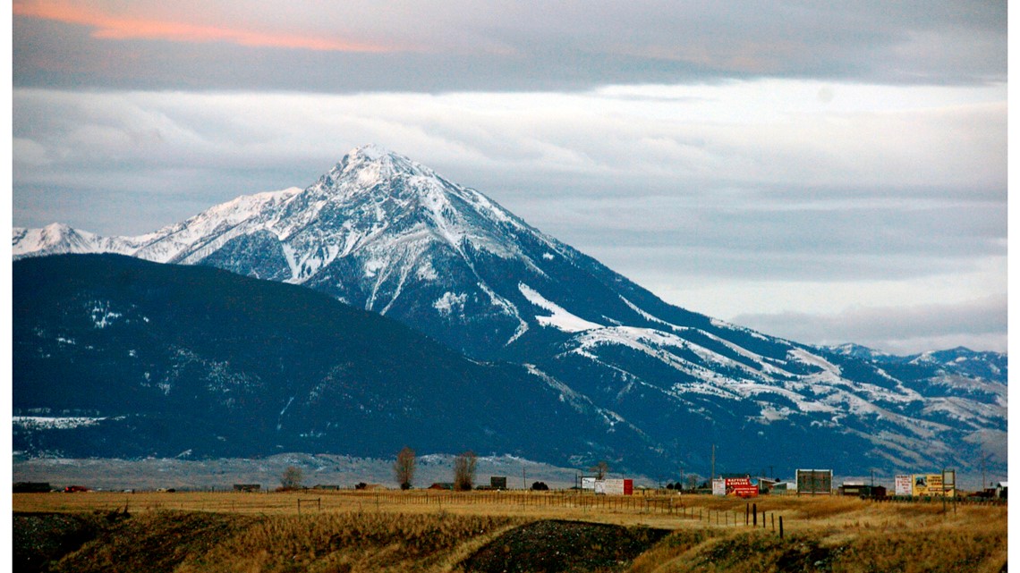 Montana sheriff says hiker killed, grizzly bear suspected - Vimarsana News