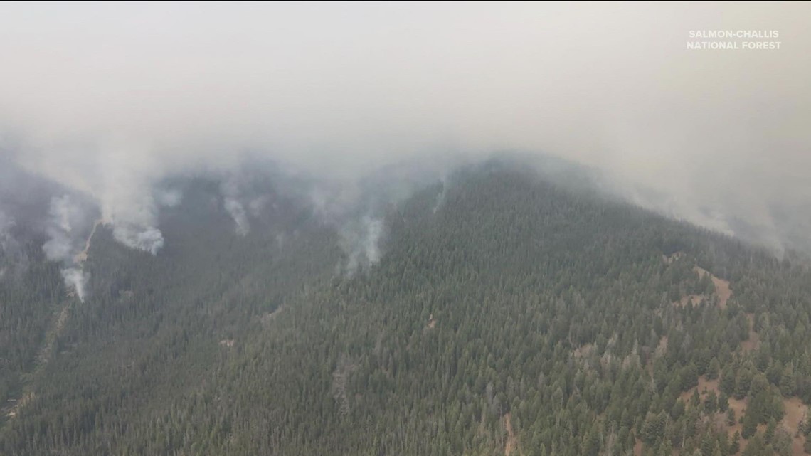 Moose Fire, Idaho's largest of 2022, has burned 130,000 acres