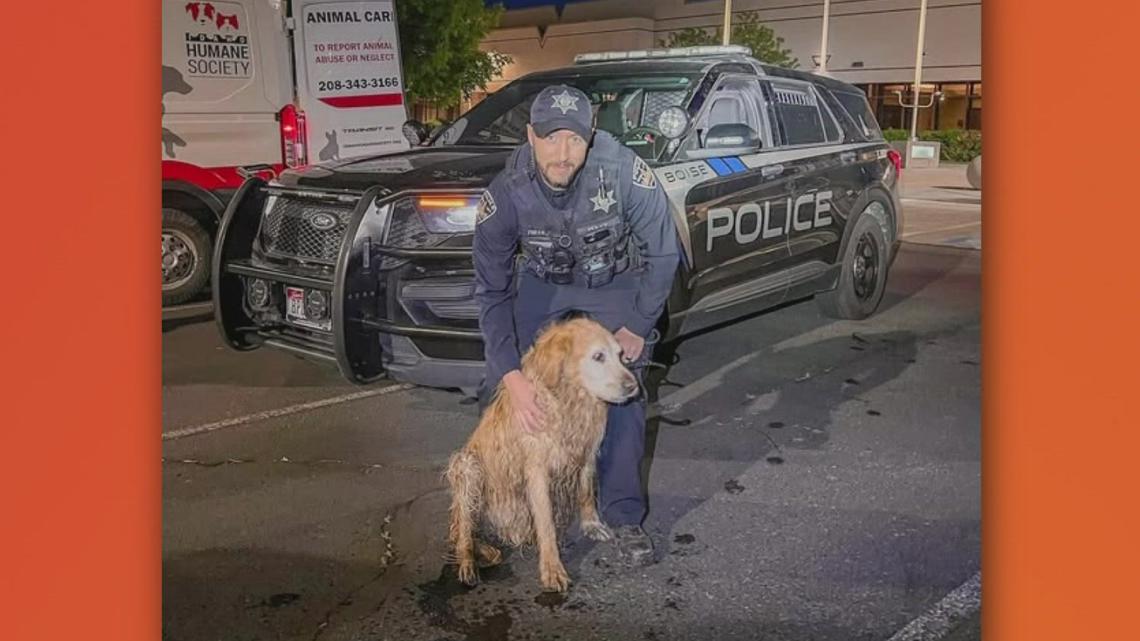 Boise police officer saves dog from irrigation canal | ktvb.com