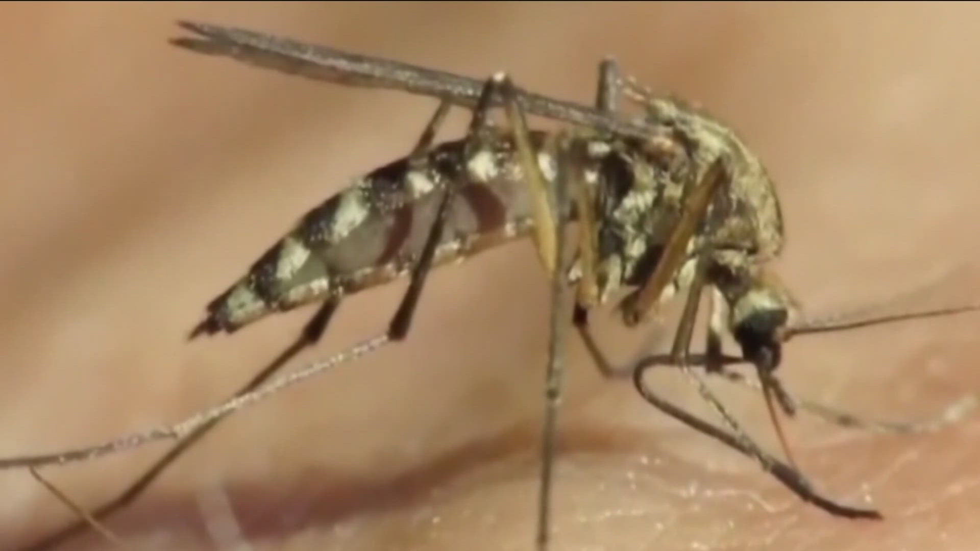 Two Idahoans have been confirmed to have been infected with the West Nile virus; one hospitalized.