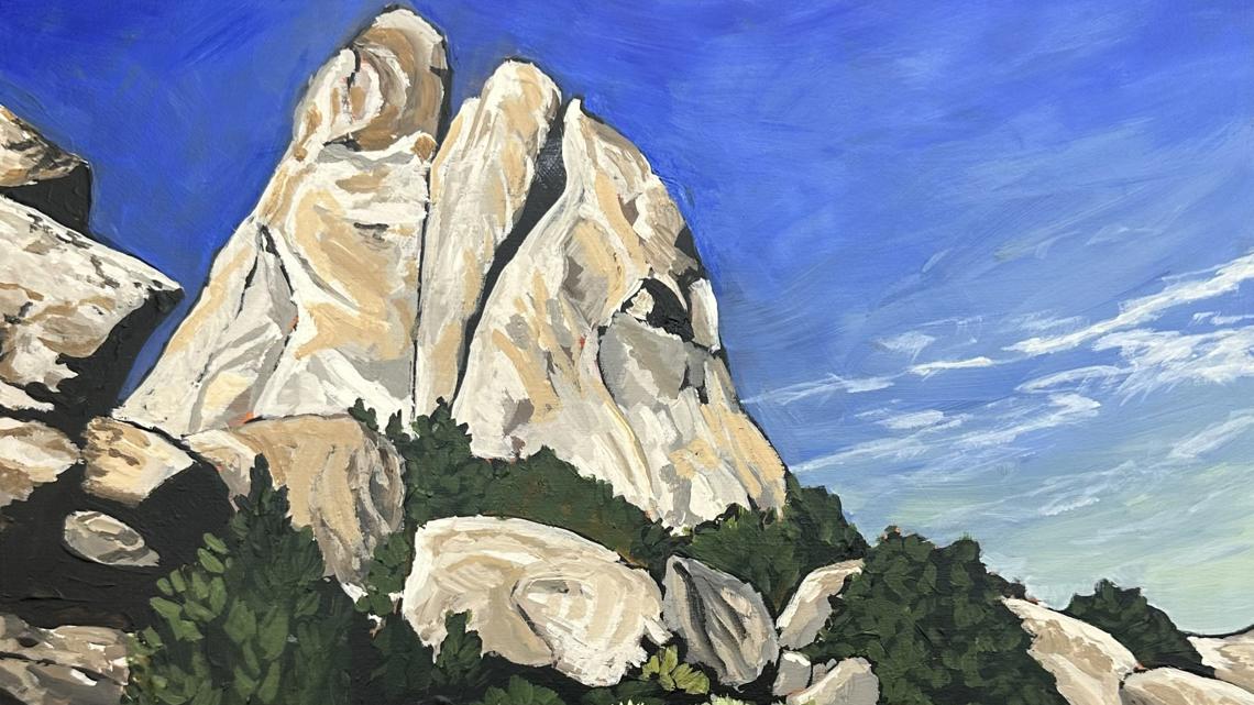 Heather Hainsworth celebrates US public lands in vibrant downtown Boise exhibit